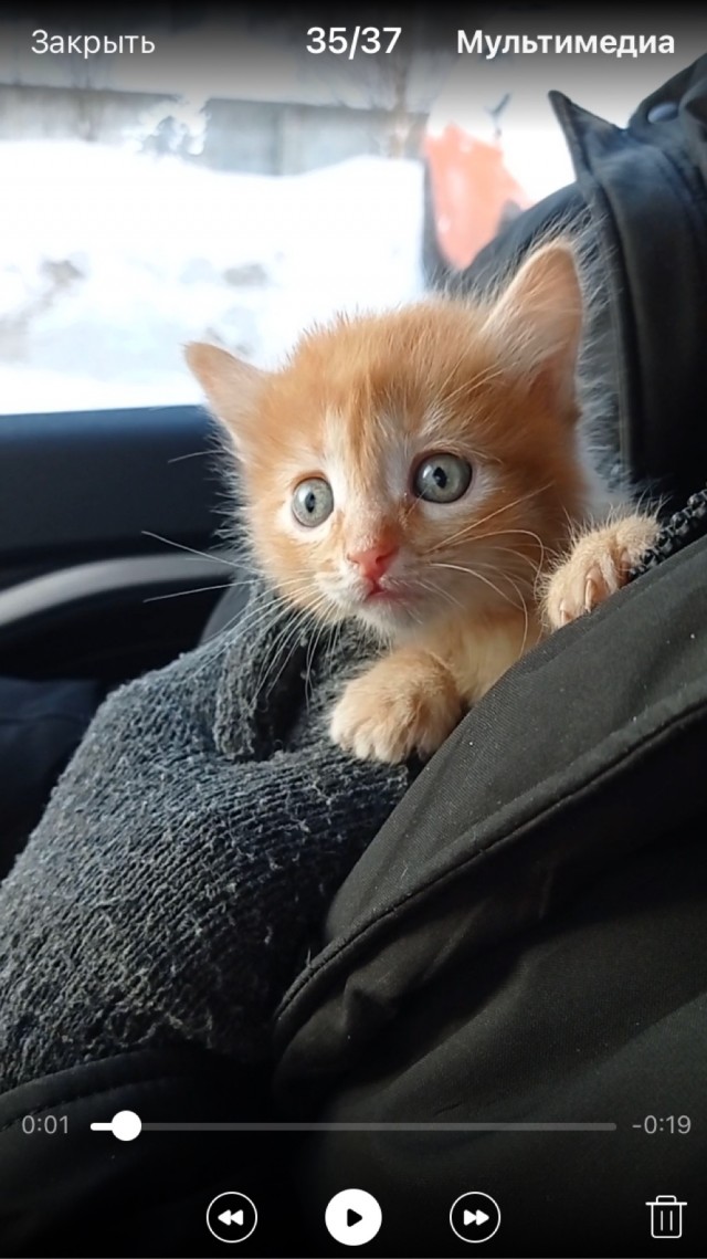 Новогодний подарочек