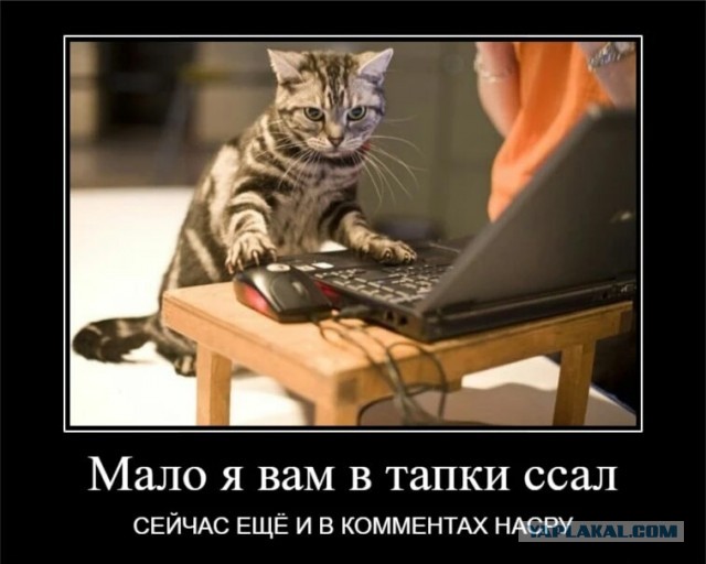 Ура! Наконец-то это свершилось!