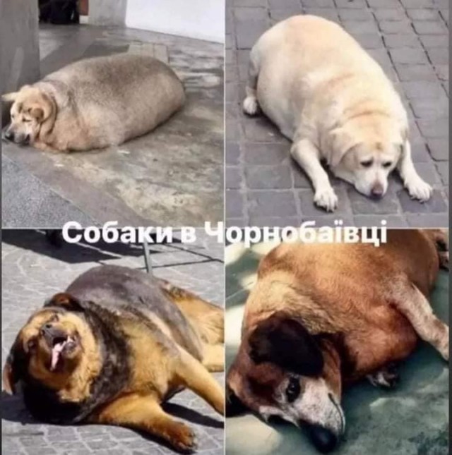 По 40, залпом, 300-30-3!