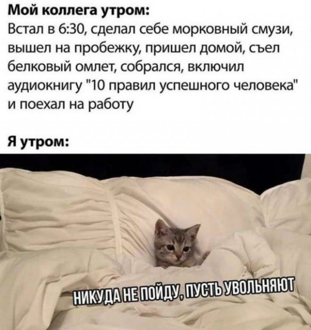 Картинки и мемы для настроения, выходные не за горами