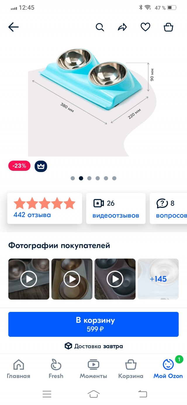 И снова день кошачий!
