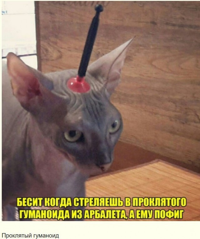 Баянисто-небаянистый юмор 25.07.22