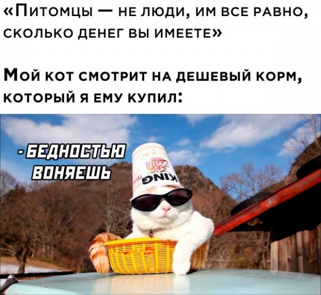 Немного картинок для настроения - 112