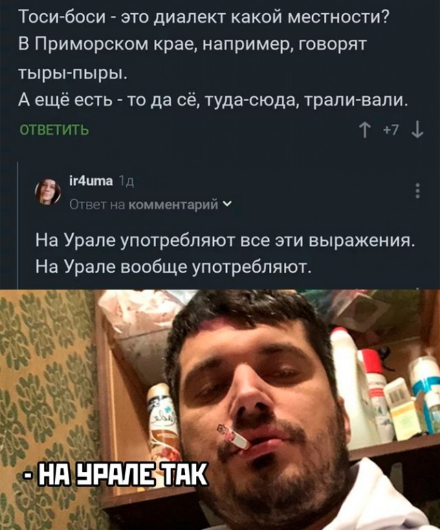 Весёлый полтишок 23.08.22