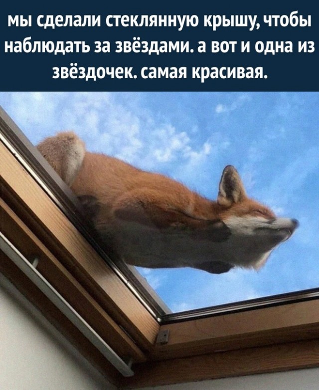 Картинки и мемы для настроения - 009