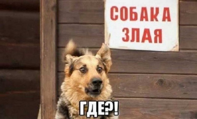 Немного картинок для настроения - 114