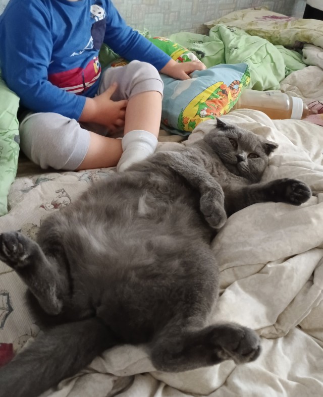 Растем с котом