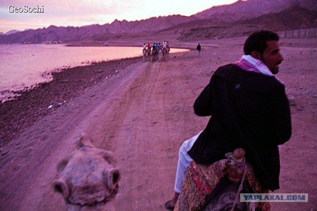 Синайские приключения. Шарм-эш-Шейх и окресности