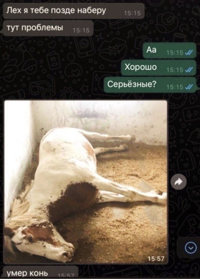 Народная меДИЧина 5023