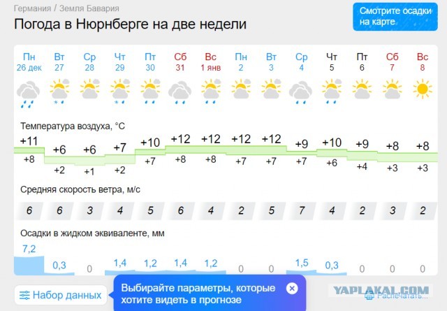 Они стали умнее