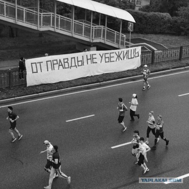 17 килограмм