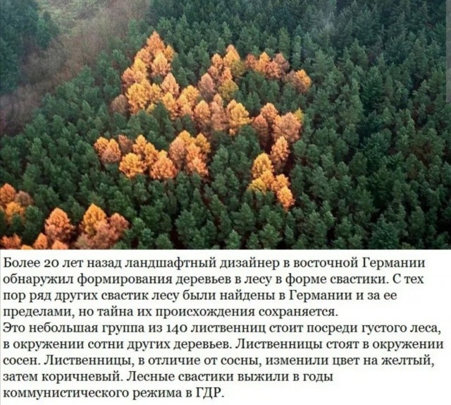 16 находчивых скрытых деталей и забавных «пасхалок», найденных людьми в реальной жизни