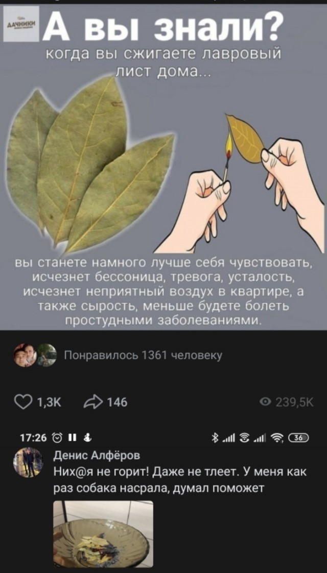 Любимый фильм!