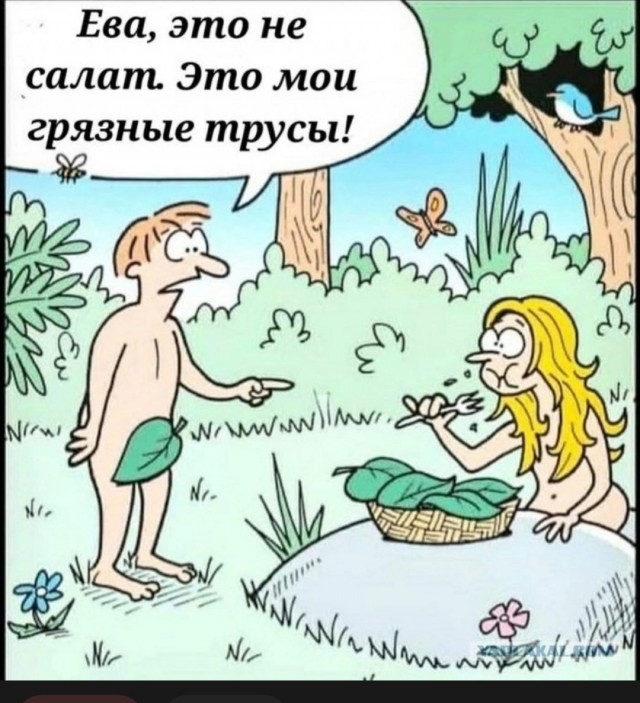 Правильное мнение: Отличие баб от женщин