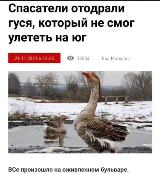 Так себе картинки 04.06.23