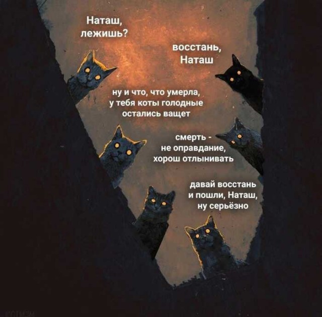 Наташ...⁠⁠