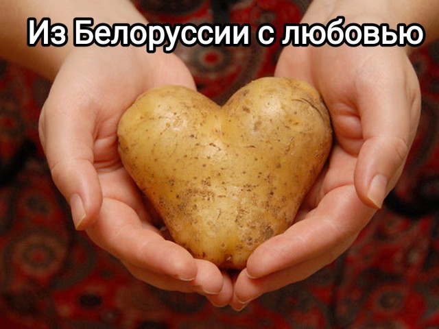 Россия откажется от импортного картофеля и семян из недружественных стран.