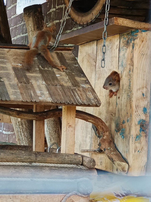 Пополнение.