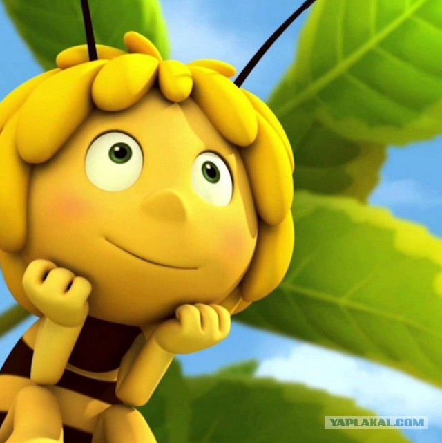 Im may bee
