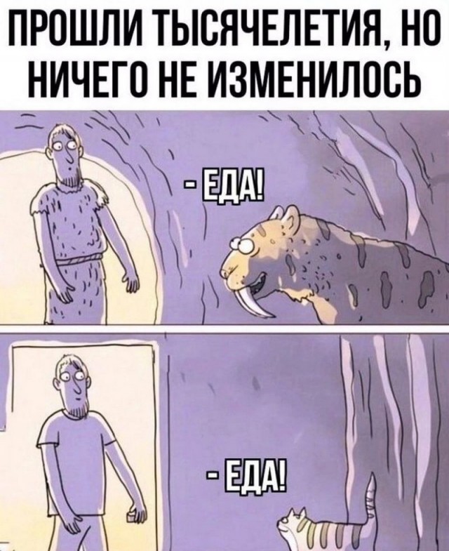 Завалялось тут случайно немного забавных картинок