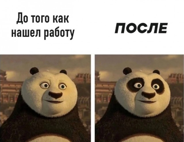 Весёлый полтишок 12.09.24
