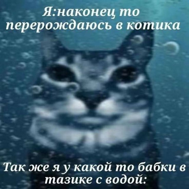 Всего понемногу. От 16 сентября