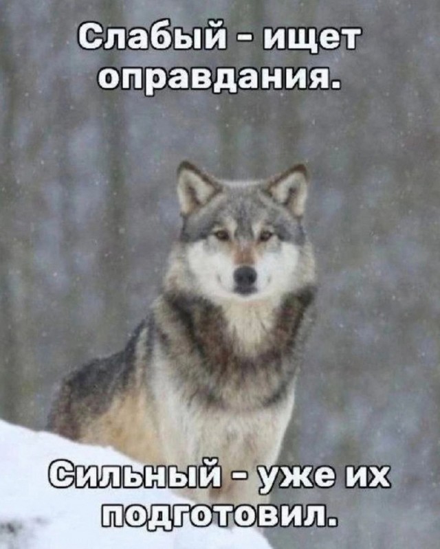 Картинки разные с надписями и без