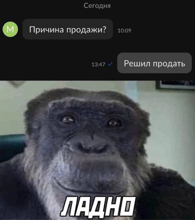 Немного забавных картинок от 13.02.2025