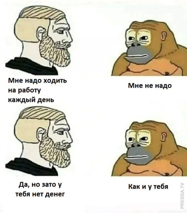 Веселые картинки в последний день февраля (28.02)