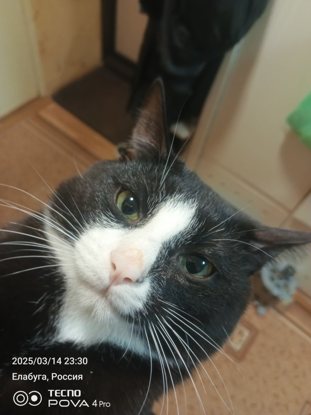 С августа являююс рабом божьим котом.