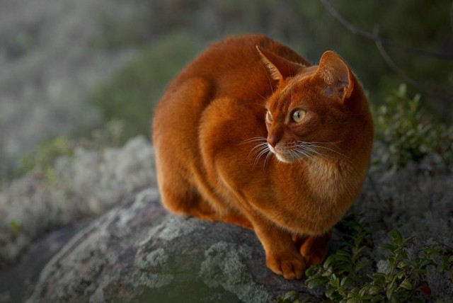 Прикольные и просто красивые картинки 04.04.2025