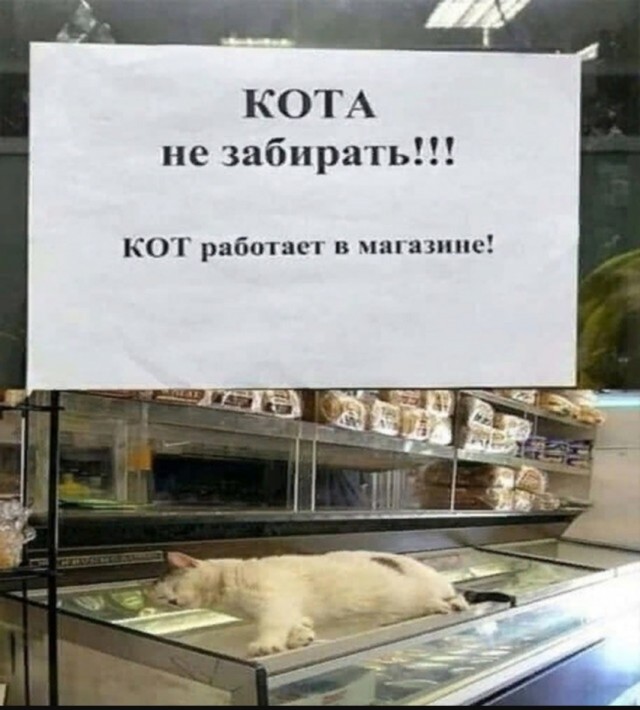 Интернет мемы на утро субботы