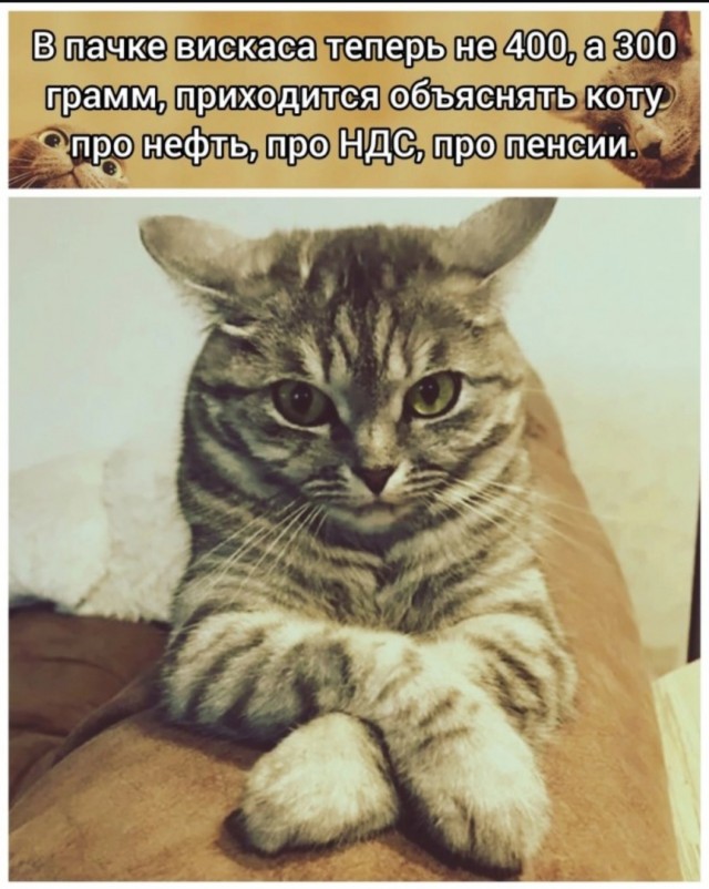 Юмор за день