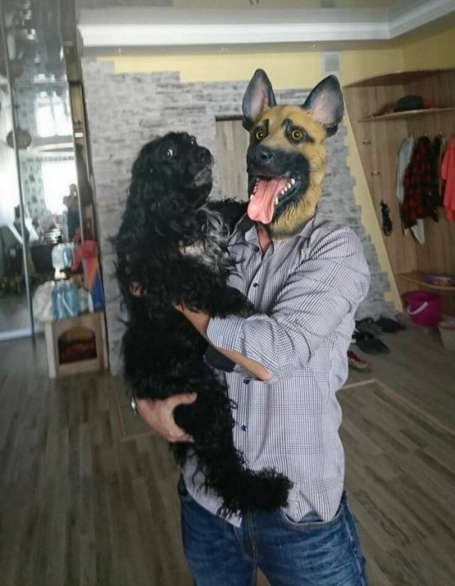 Пятничные бояны
