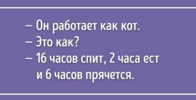 Так себе картинки 04.07.25