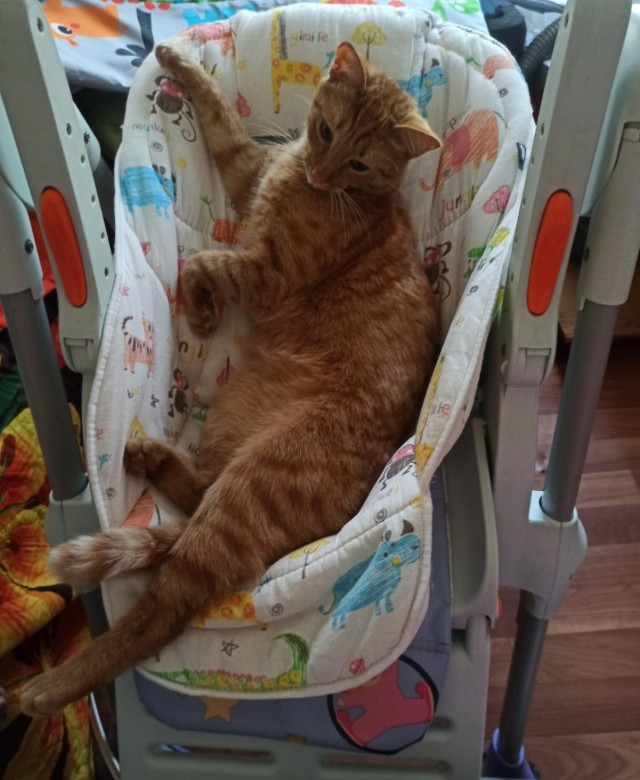 Принимайте в ряды которабов
