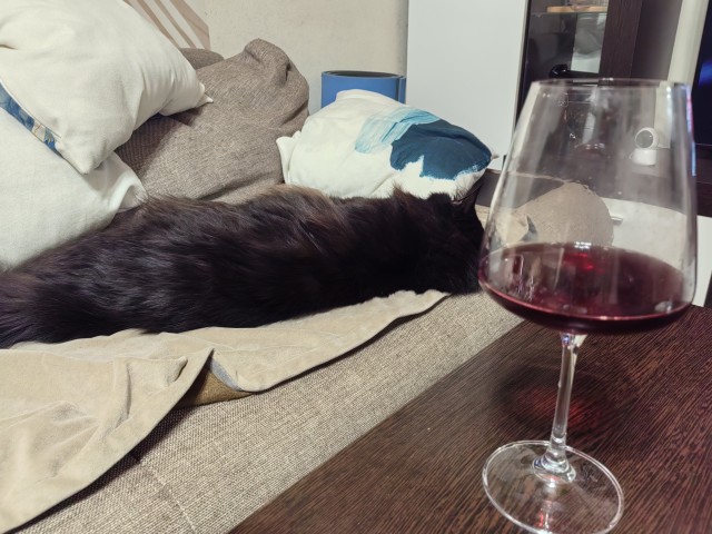 Котовторник
