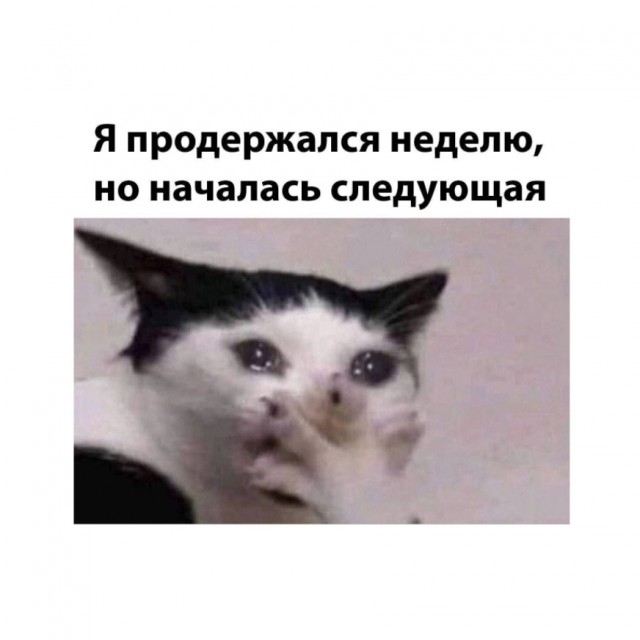 А понедельник то ненастоящий...