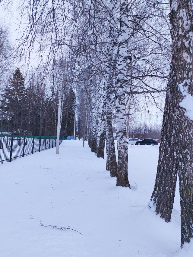 Зимние Забавы
