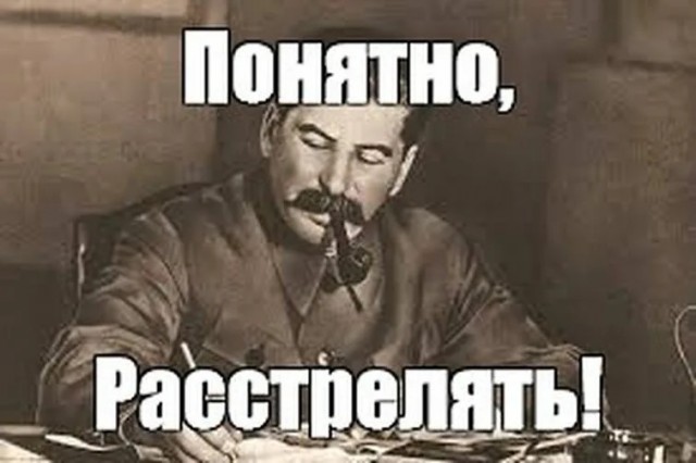 Сами виноваты