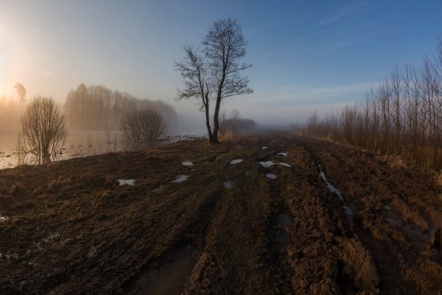 Начало весны в деревне