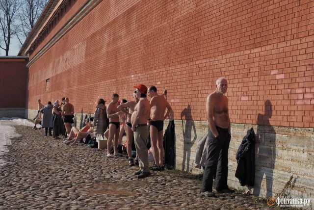 Подсолнухи Петропавловки