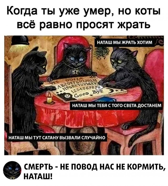 Веселые картинки в пятницу (27.03)