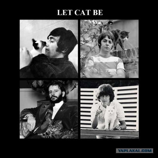 Визуальная история рока: 50 величайших обложек альбомов всех времен