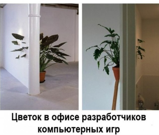 Картиночки, баянчики 29 мая