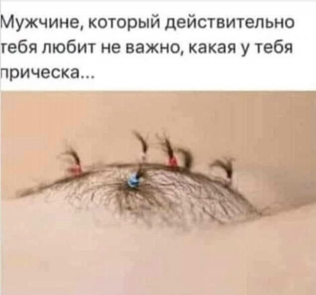 Веселые картинки в маленькую пятницу (05.08)