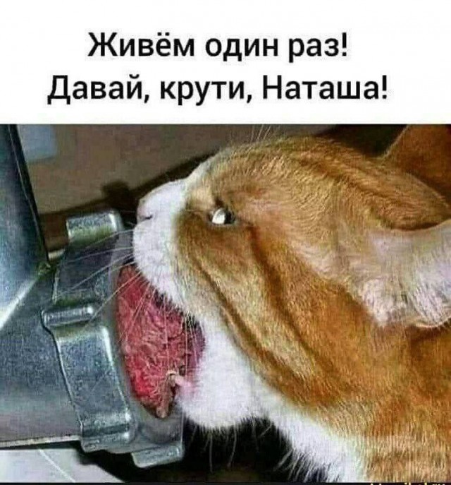 Забавные картинки, шутки из этих ваших интернетов