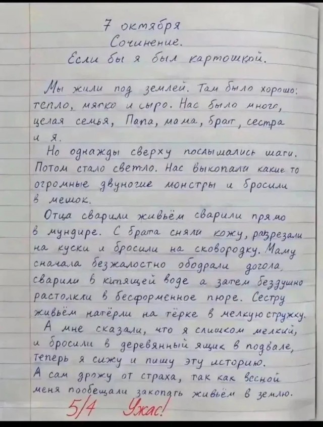 *БАЯН*Сочинение