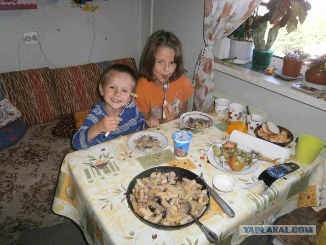 Вот такой один грибочек съел - и наелся