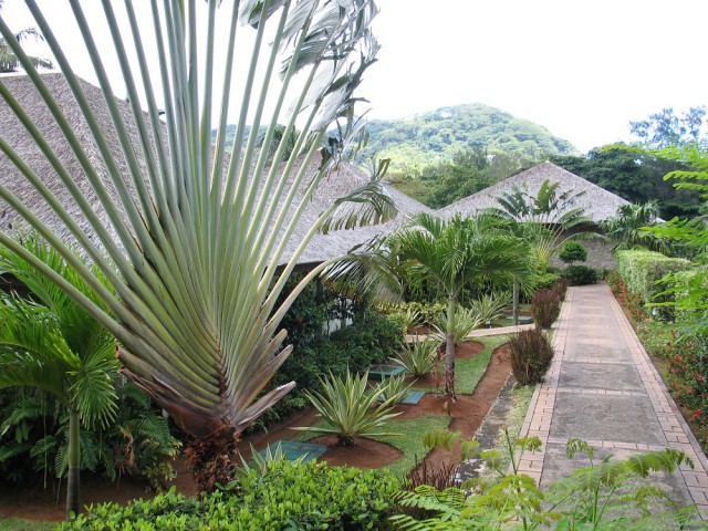 Как я съездил на Сейшелы